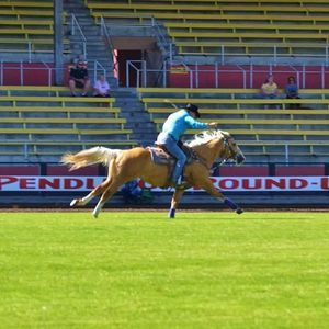 Meet your Posher, Alison